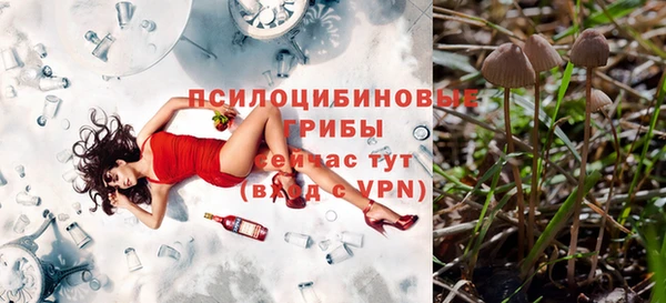 мескалин Верхний Тагил